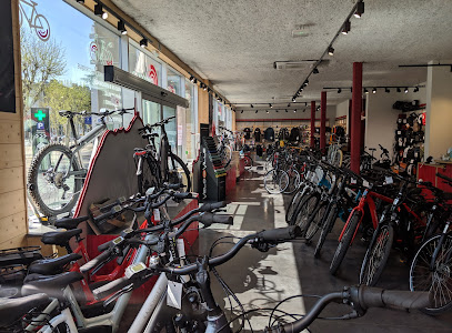 Intérieur magasin de vélos Clermont-Ferrand